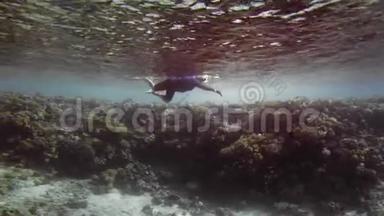 未被识别的水肺潜水员，在珊瑚礁的背景上戴着潜水面具潜水。 在运动中射击。 多莉。 反对